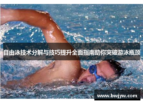 自由泳技术分解与技巧提升全面指南助你突破游泳瓶颈